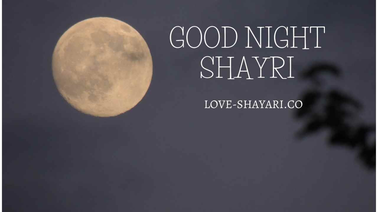 Good night shayari