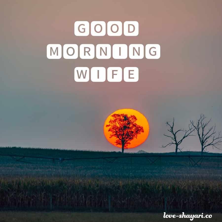 good morning wife images