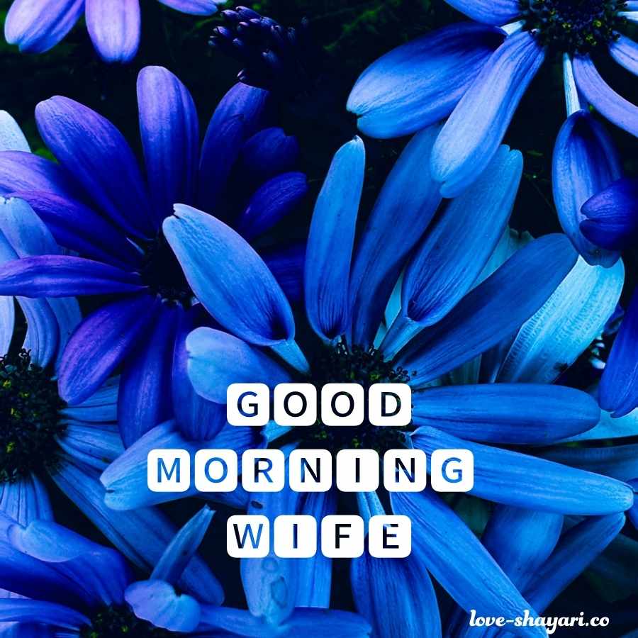 good morning wife hindi
