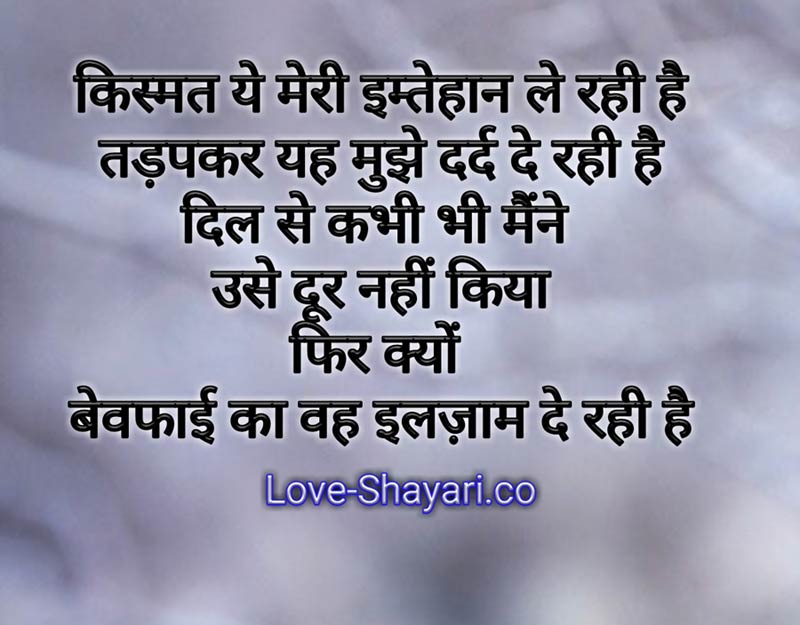 Shayri photo